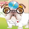 Dr.Bulldog's Pets Hospital igrica 