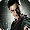 Harry Potter: Fight the Death Eaters igrica 