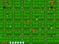 Free download Chick Chick Chicky screenshot