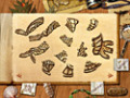 Besplatno download ekrana Paradise Quest 2