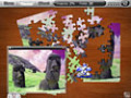 Besplatno download ekrana Penny Puzzle 1