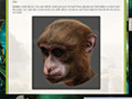 Besplatno download ekrana Return to Mysterious Island 2: Mina's Fate Strategy Guide 2