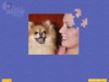 Besplatno download ekrana Super Jigsaw Puppies 1