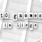10 Gnomes in Liege igrica 