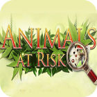 Animals At Risk igrica 