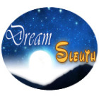 Dream Sleuth igrica 