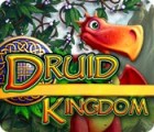 Druid Kingdom igrica 