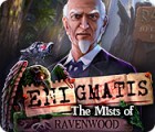 Enigmatis: The Mists of Ravenwood igrica 