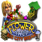 Flower Shop: Big City Break igrica 