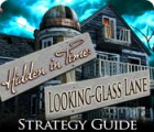 Hidden in Time: Looking-glass Lane Strategy Guide igrica 