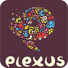 Plexus Puzzles: Rebuild the Earth igrica 