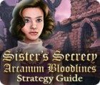 Sister's Secrecy: Arcanum Bloodlines Strategy Guide igrica 