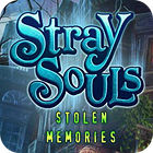 Stray Souls: Stolen Memories igrica 