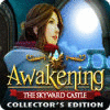 Awakening: The Skyward Castle Collector's Edition igrica 