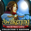 Awakening: The Skyward Castle Collector's Edition igrica