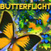 Butterflight igrica 