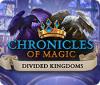Chronicles of Magic: The Divided Kingdoms igrica 