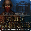 Cursed Memories: The Secret of Agony Creek Collector's Edition igrica 