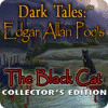 Dark Tales: Edgar Allan Poe's The Black Cat Collector's Edition igrica 
