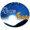 Dream Sleuth igrica