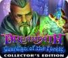 Dreampath: Guardian of the Forest Collector's Edition igrica 