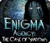 Enigma Agency: The Case of Shadows igrica 