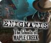 Enigmatis: The Ghosts of Maple Creek igrica 