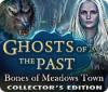 Ghosts of the Past: Bones of Meadows Town Collector's Edition igrica 