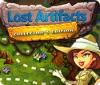 Lost Artifacts Collector's Edition igrica 