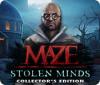 Maze: Stolen Minds Collector's Edition igrica 