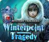 Mystery Trackers: Winterpoint Tragedy igrica