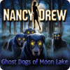 Nancy Drew: Ghost Dogs of Moon Lake igrica 