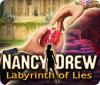 Nancy Drew: Labyrinth of Lies igrica 