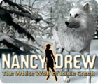 Nancy Drew: The White Wolf of Icicle Creek igrica 