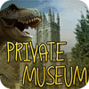 Private Museum igrica