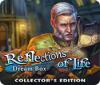 Reflections of Life: Dream Box Collector's Edition igrica 