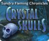 Sandra Fleming Chronicles: The Crystal Skulls igrica 