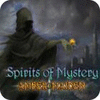 Spirits of Mystery: Amber Maiden Collector's Edition igrica 