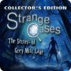 Strange Cases: The Secrets of Grey Mist Lake Collector's Edition igrica
