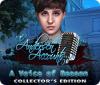 The Andersen Accounts: A Voice of Reason Collector's Edition igrica 