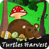 Turtles Harvest igrica 