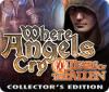 Where Angels Cry: Tears of the Fallen. Collector's Edition game