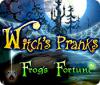 Witch's Pranks: Frog's Fortune igrica