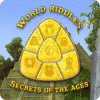 World Riddles: Secrets of the Ages game