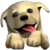 Puppy Luv A New Breed